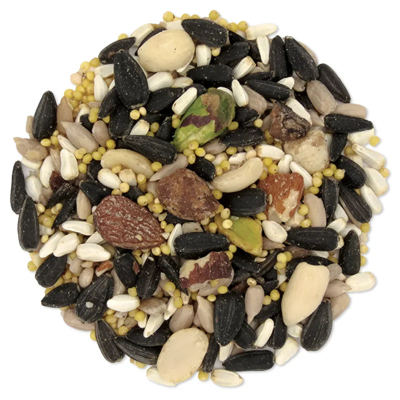 All Season Blend Wild Bird Seed, 5-lb bag